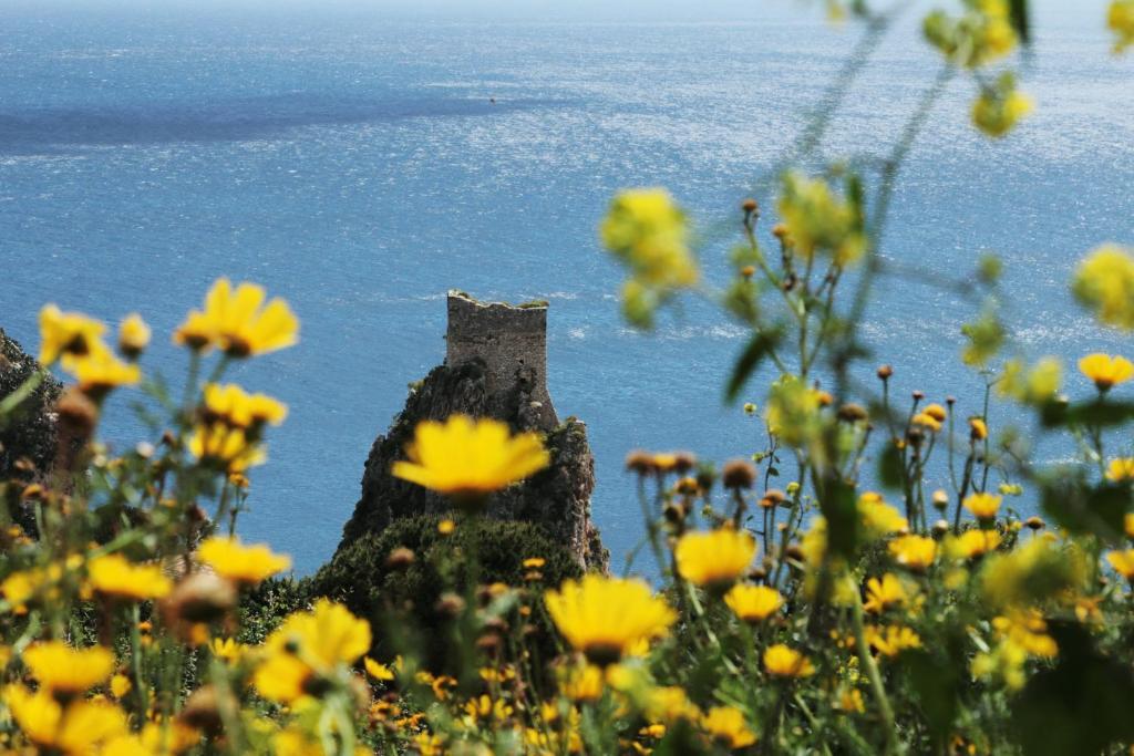 Torre Bennistra Hotell Scopello  Eksteriør bilde